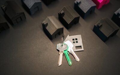 Evolving to Equitism in Housing: A Market-Driven Path to Shared Equity